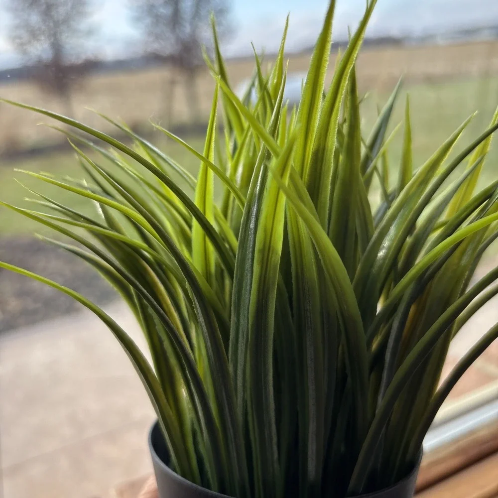 Ikea‎ Fejka Artificial Potted Plant Indoor/Outdoor Grass 3 ½
